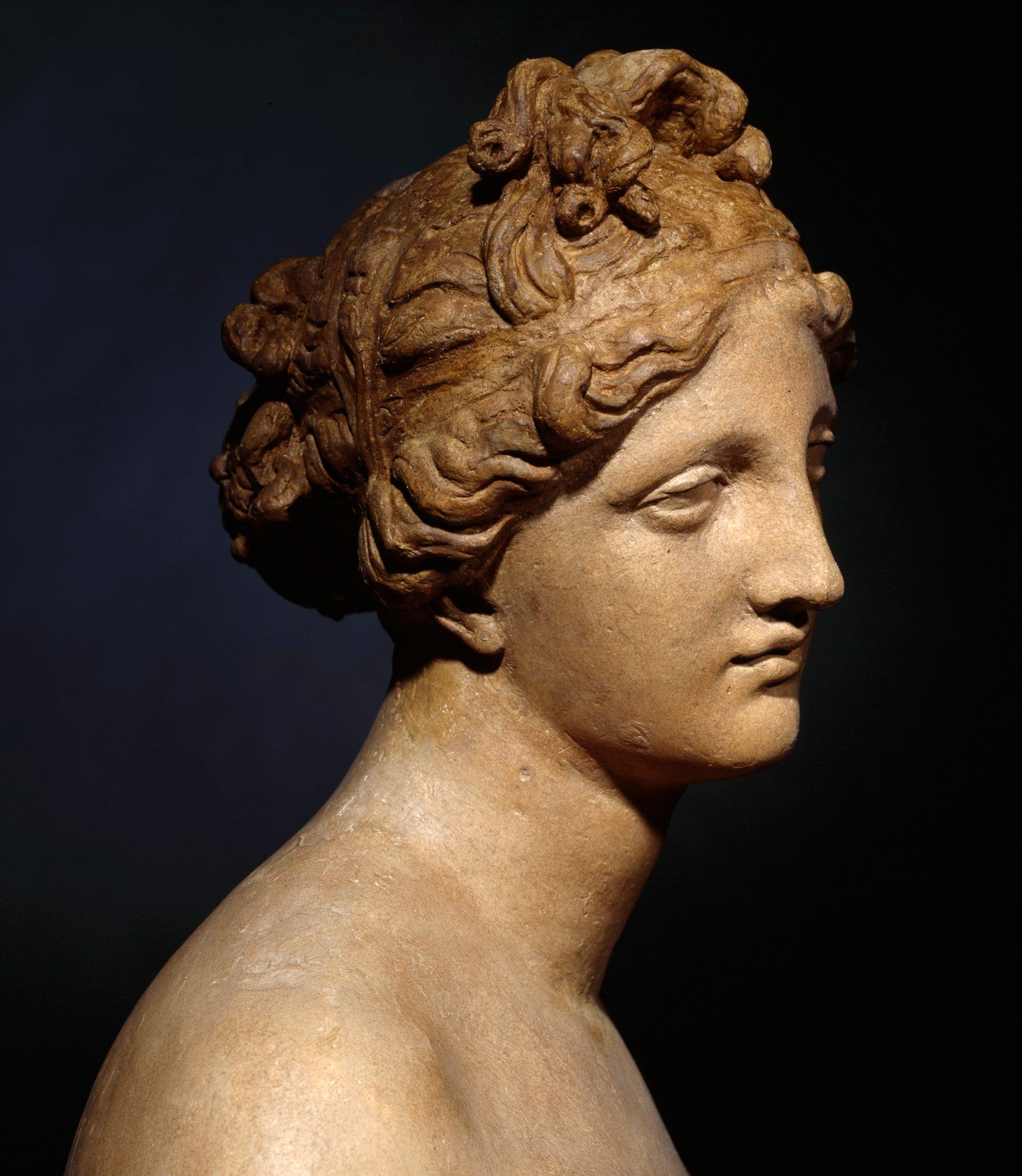 Venus | Works of Art | RA Collection | Royal Academy of Arts