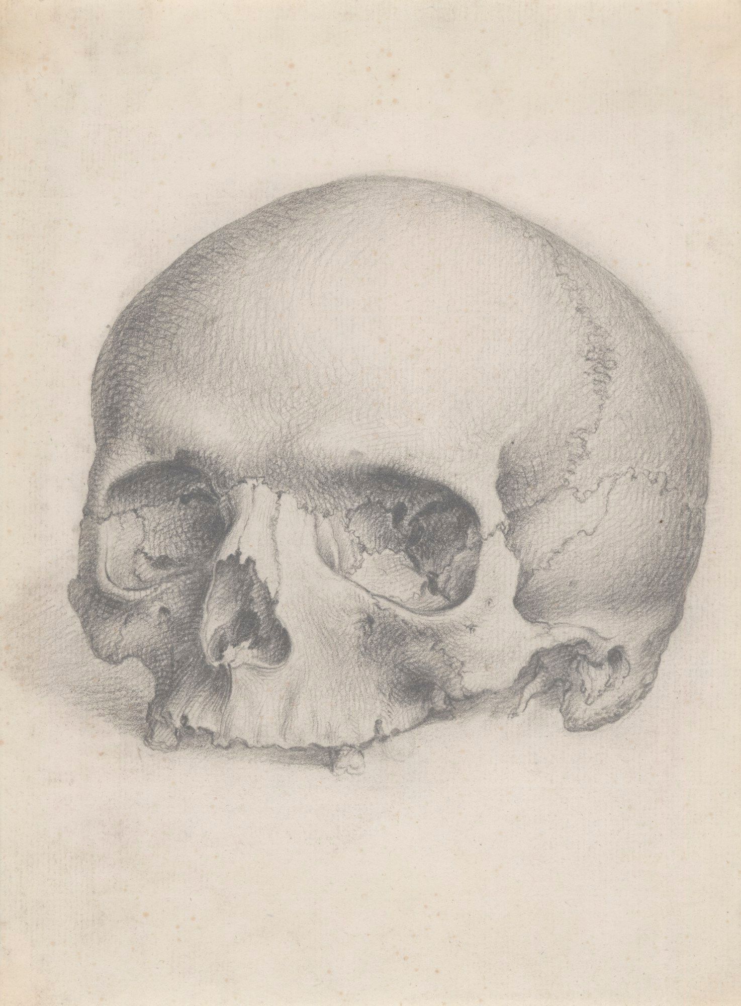 A human skull viewed from the front, for Cheselden's Osteographia