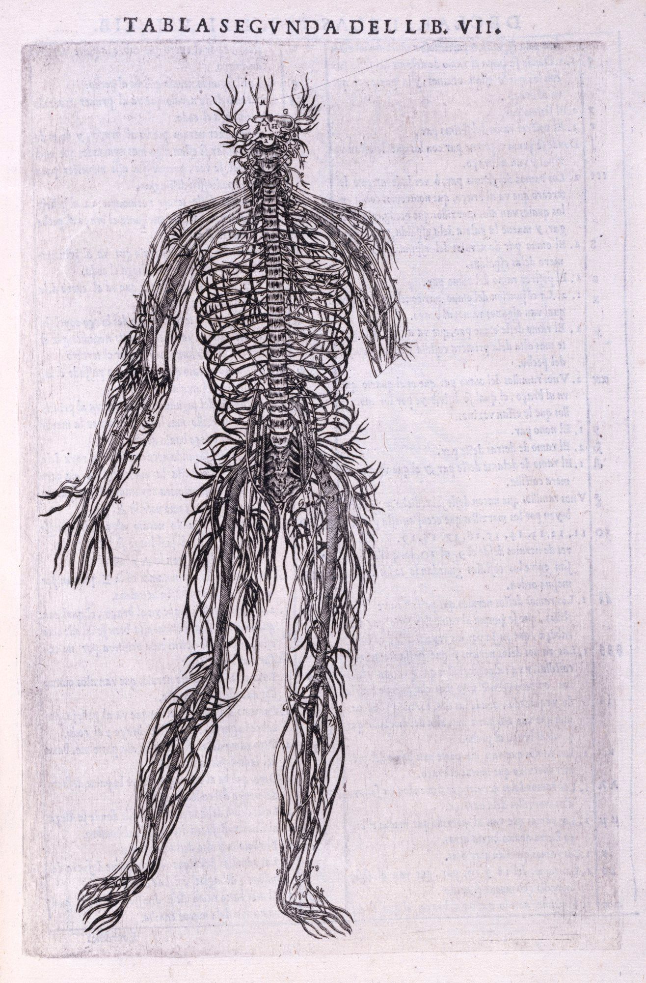 Andreas Vesalius | Artist | Royal Academy of Arts